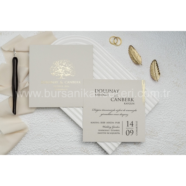 Erdem Ekonom Davetiye 9256