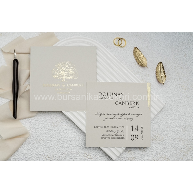 Erdem Ekonom Davetiye 9256